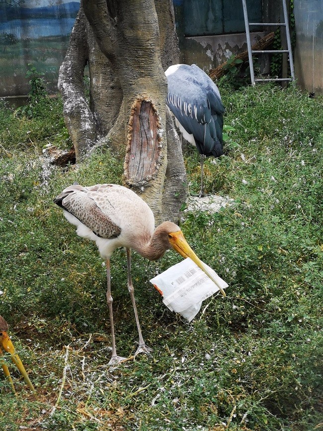 411塑味相食1.jpg